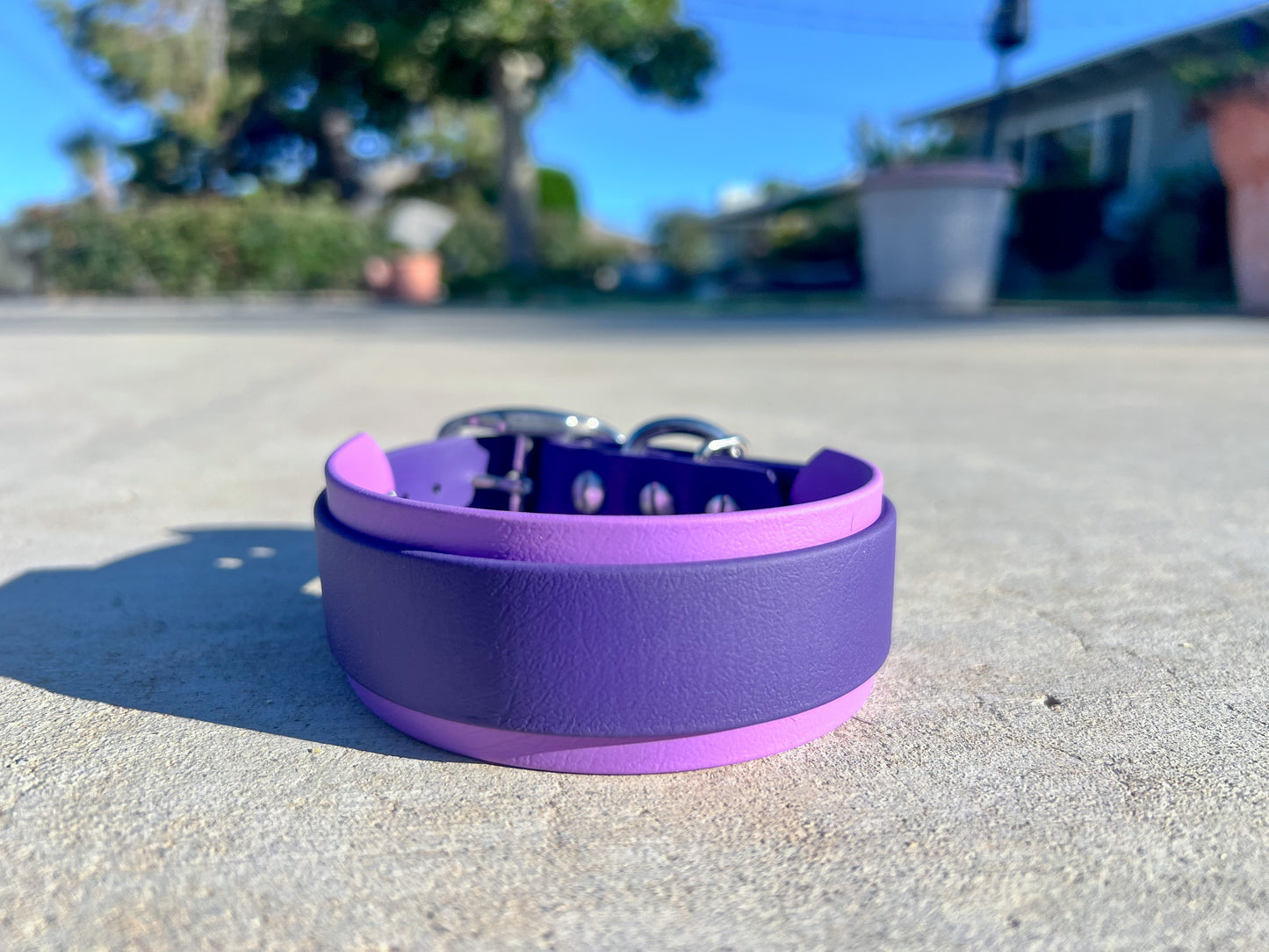 1.5" Layered Biothane® Collar