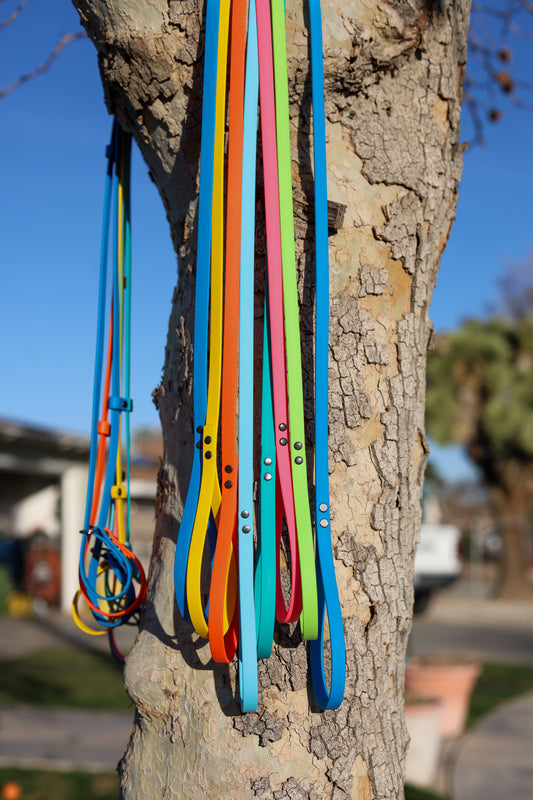3/8" Biothane® Slip Leash | Lightweight Training Lead
