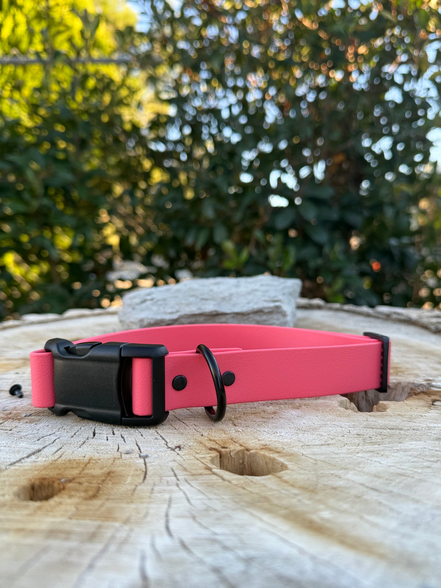 Adjustable Biothane® Collar