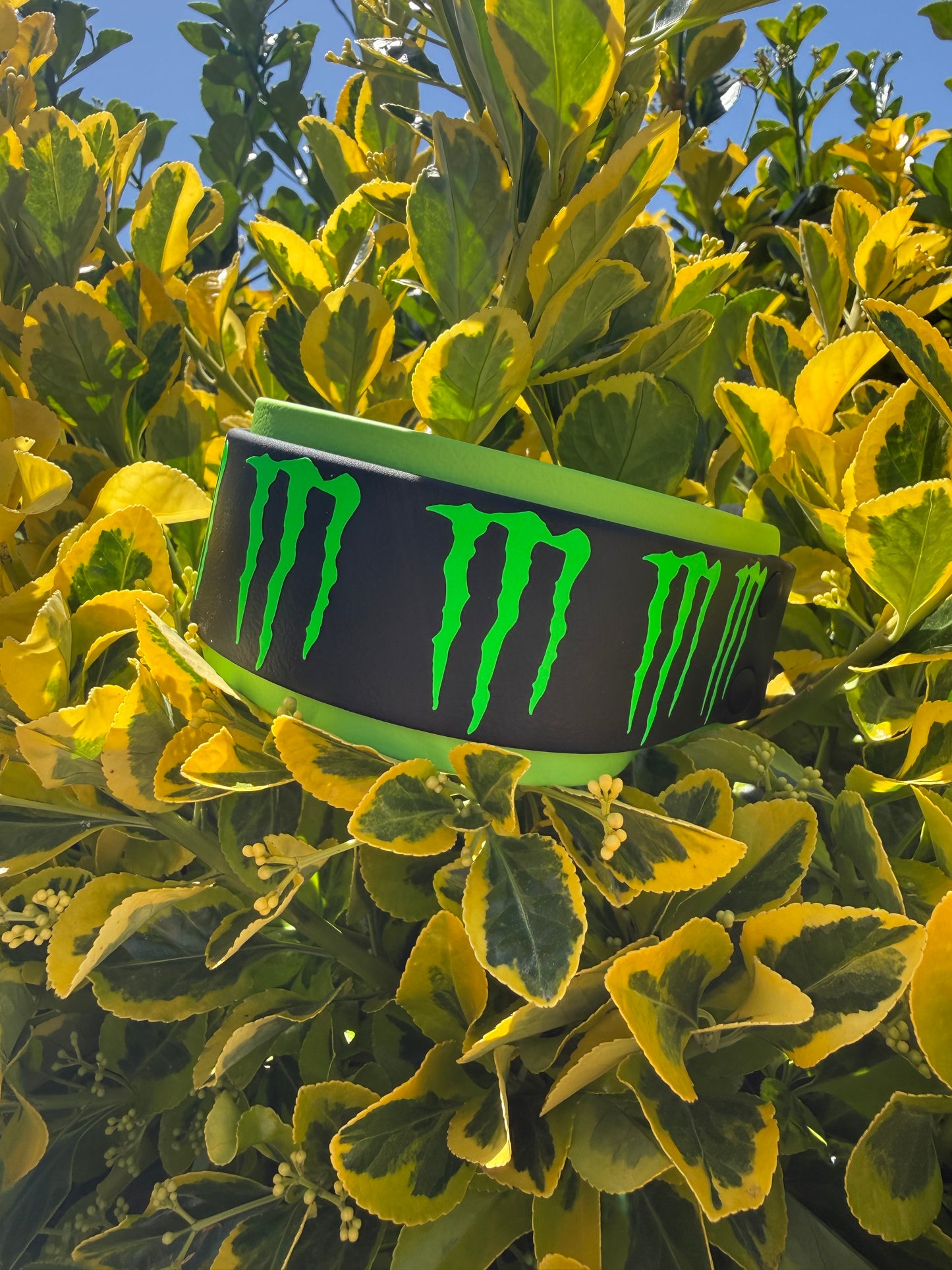 Monster Inspired Biothane® Collar 1.5/2"