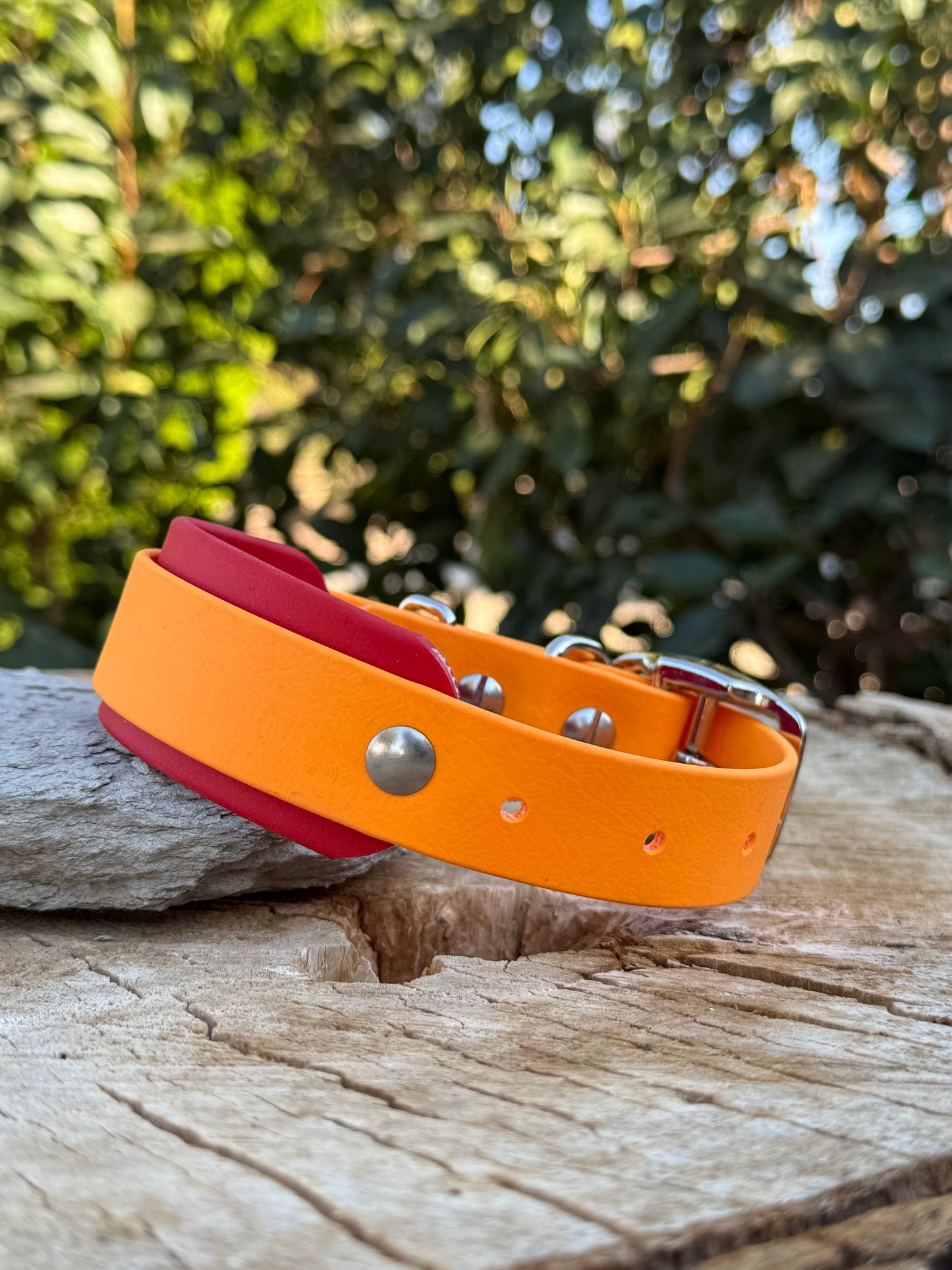red and pumpkin