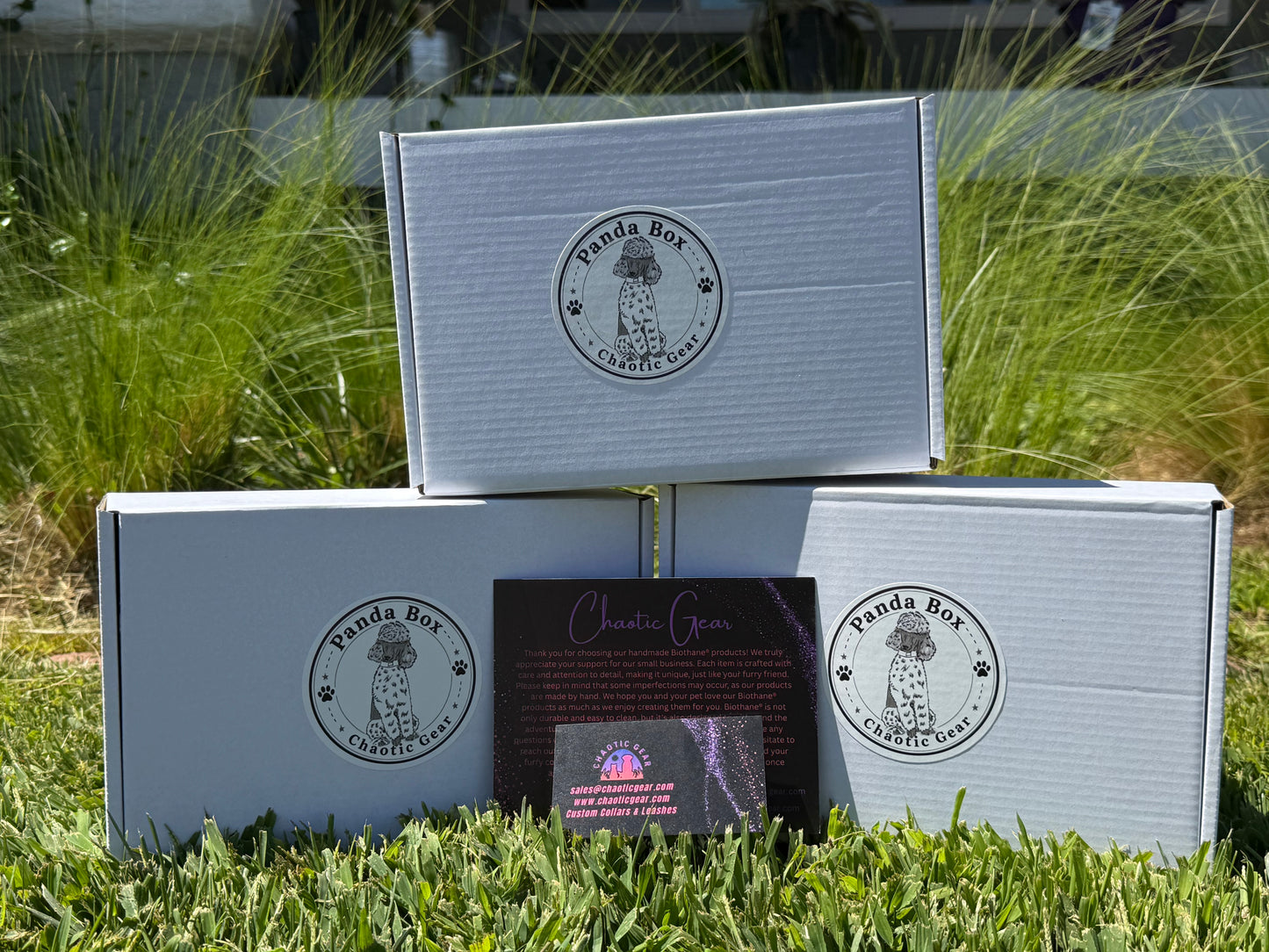 Panda Box Mystery Dog Gear Bundle