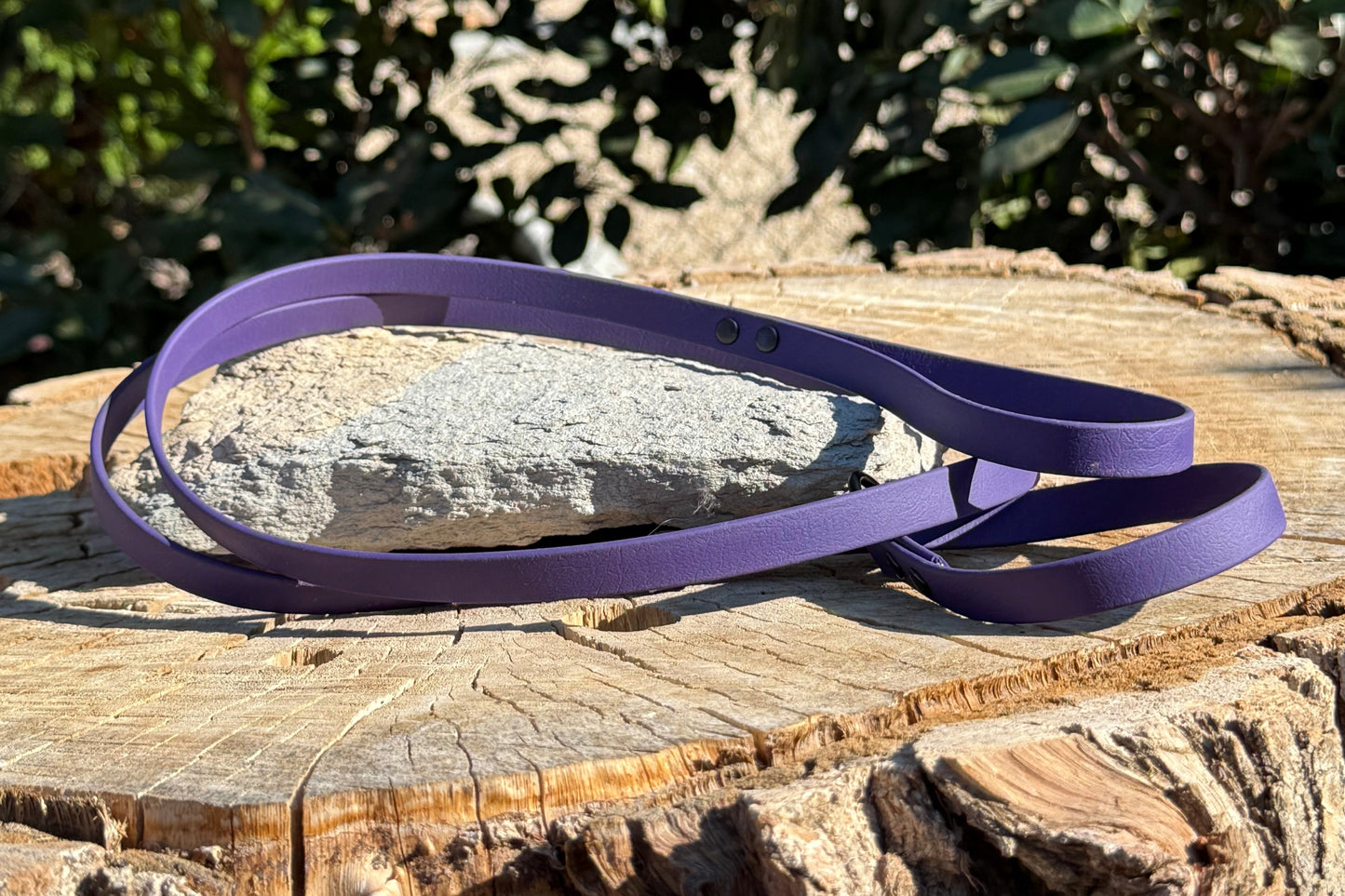 1/2" Slip Leash