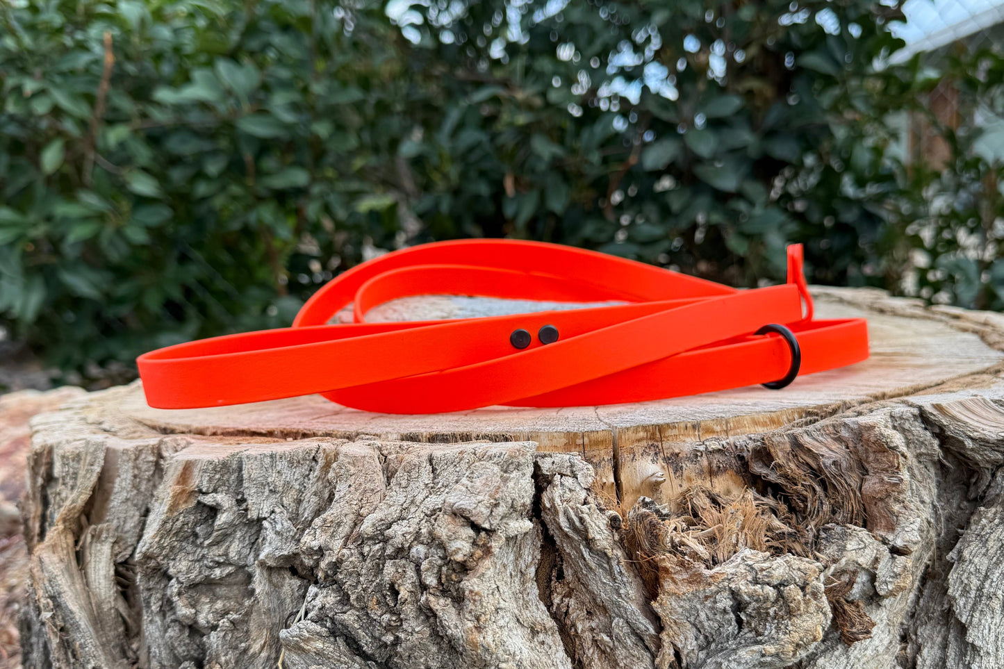 3/4" Slip Leash
