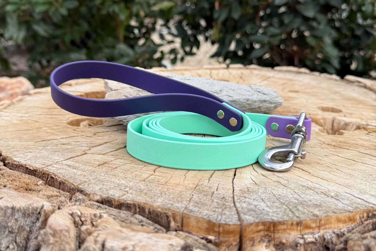 3/4" Biothane® Leash – Strong, Comfortable & Customizable