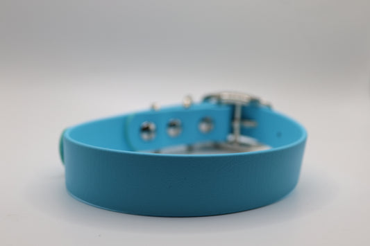 Blue dog collar with metal buckle on a light gray background