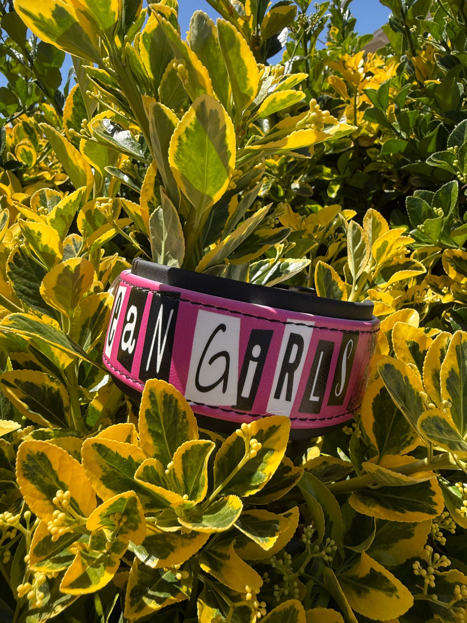 UV Printed Collars