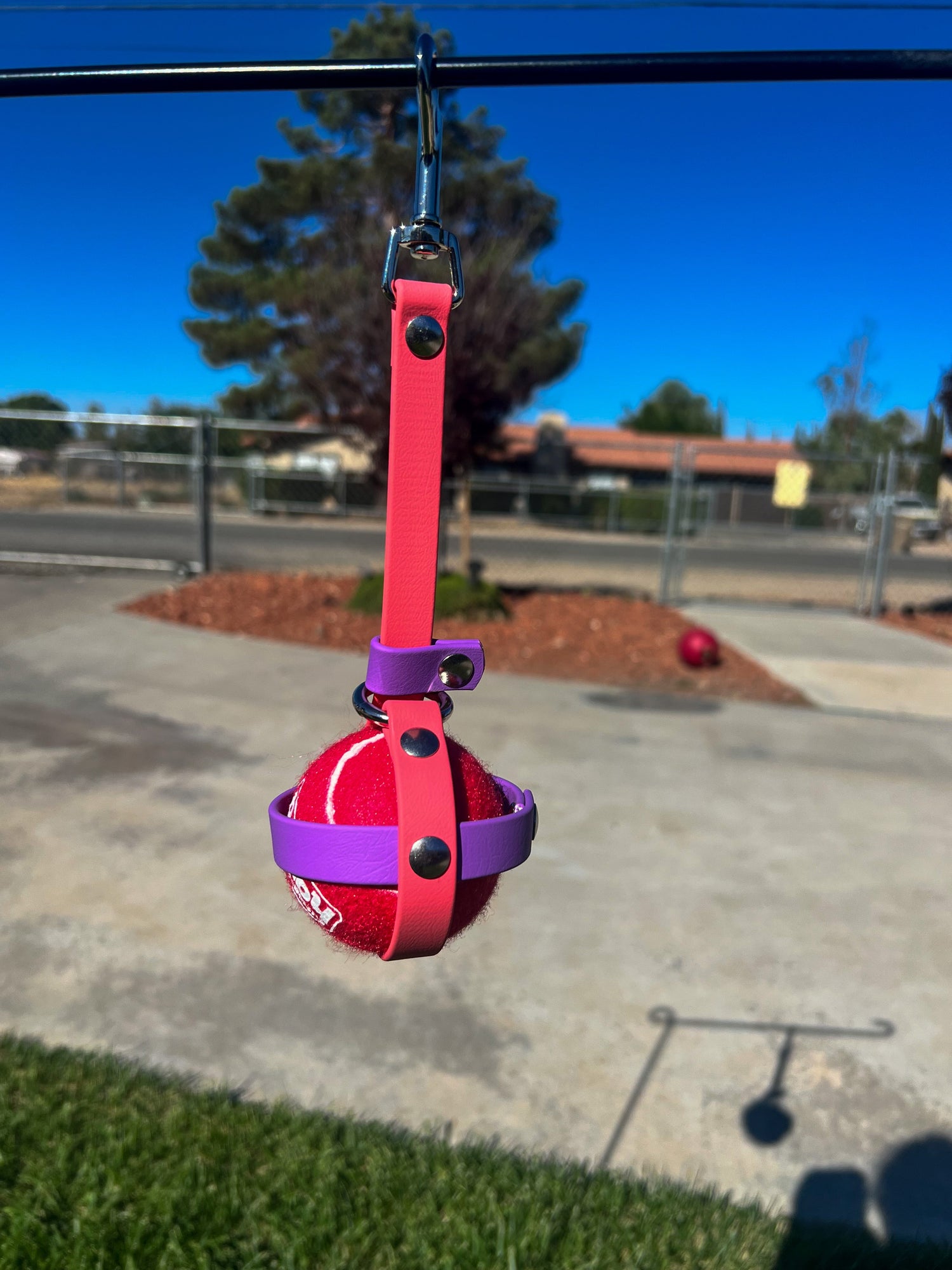 Ball Tugs and Training Toys