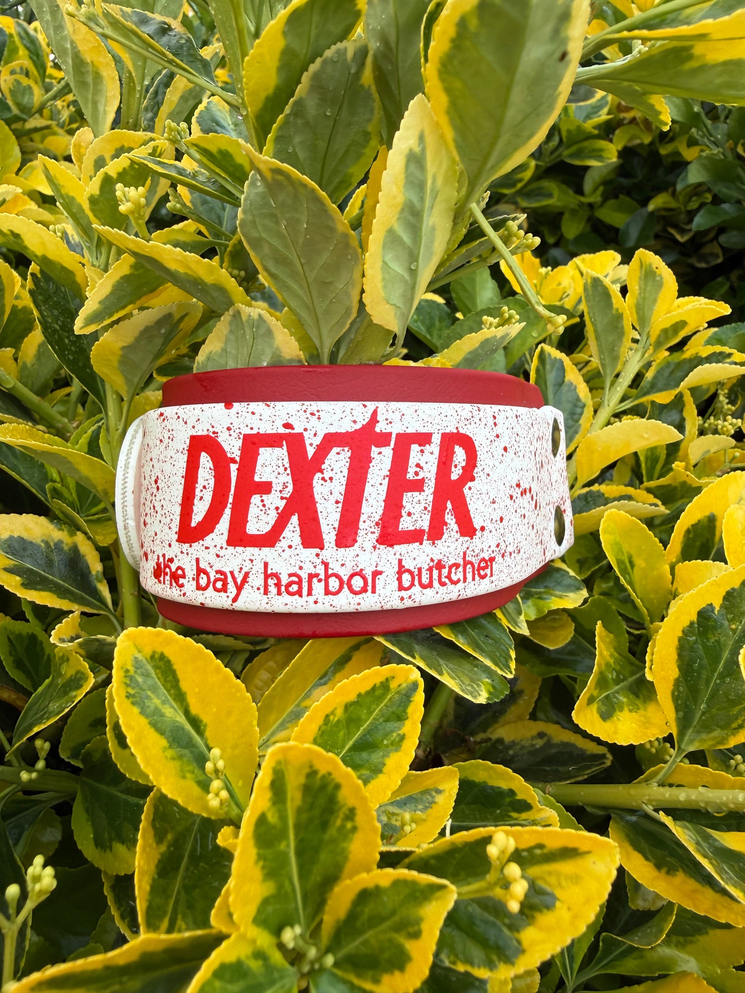 Fully Custom Collars