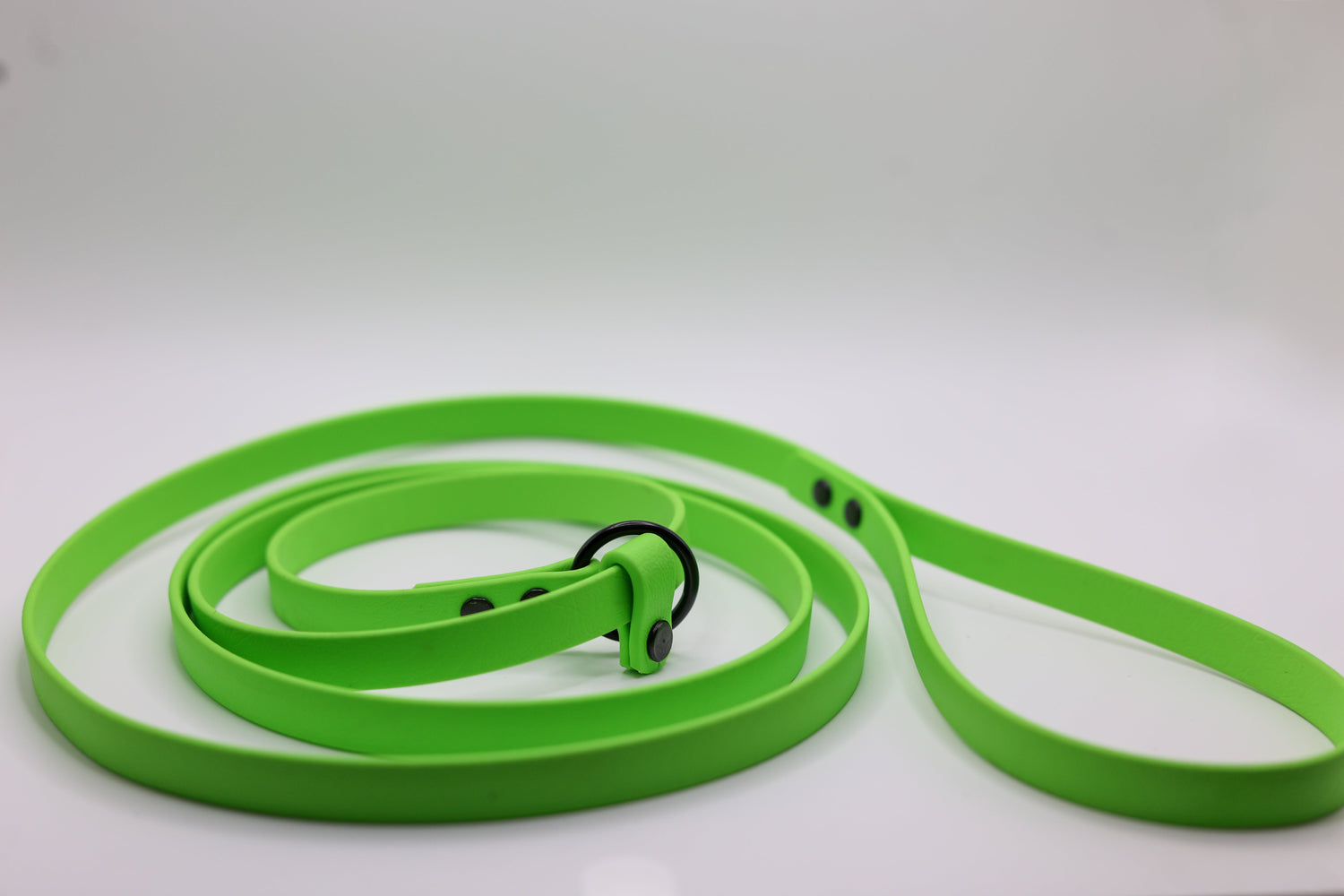Biothane® Leashes