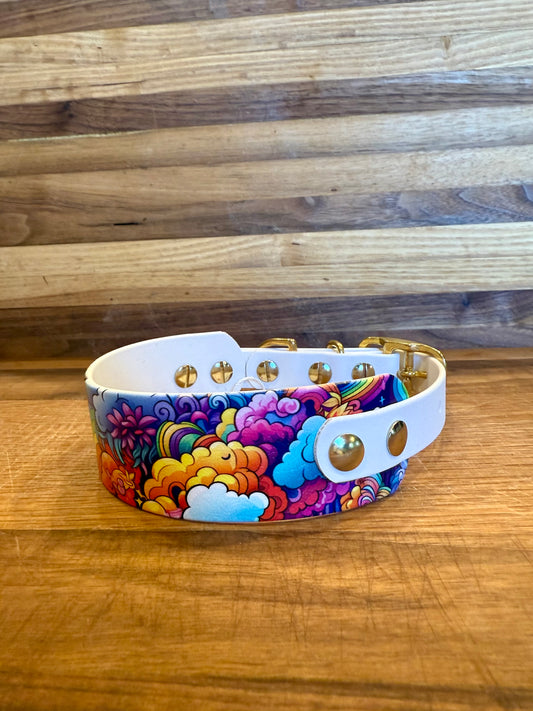 Fully Custom UV Printed Biothane® Collar