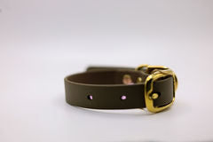 Basic Biothane® Collar