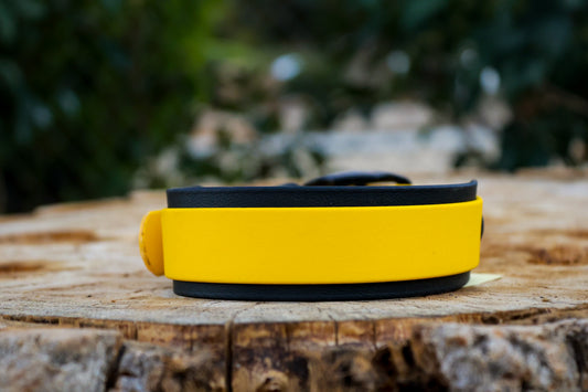 2" Layered Biothane® Collar