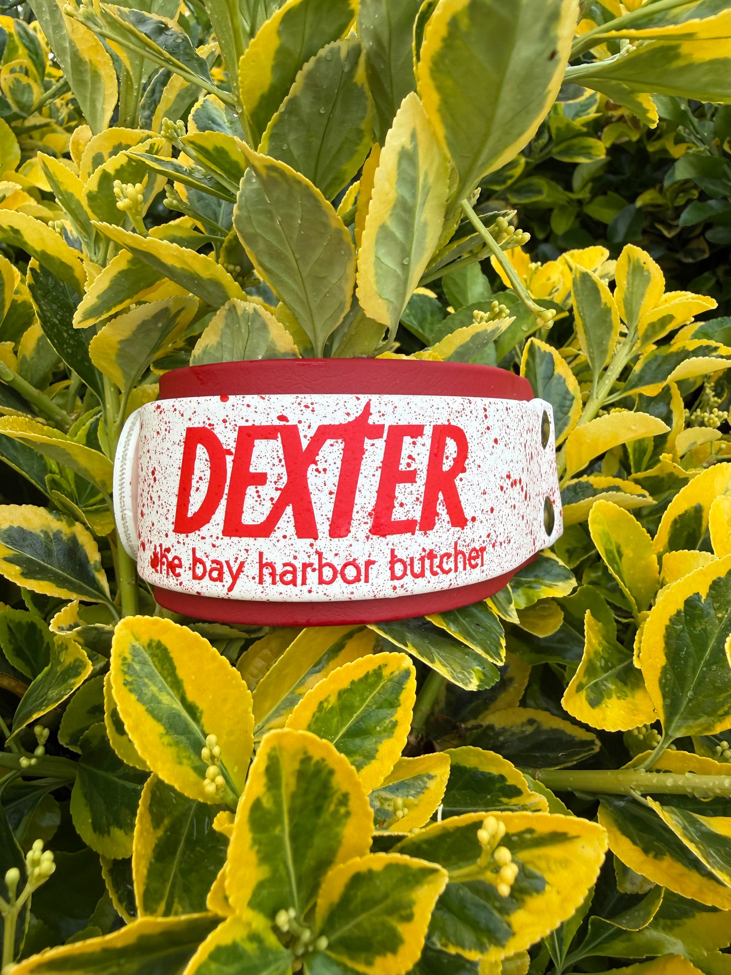 Bay Harbor Inspired Collar | 1.5" Layered Biothane