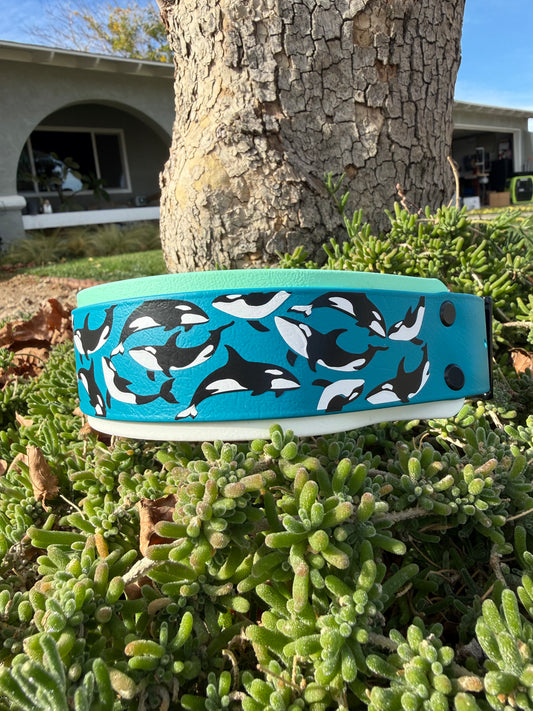 Orca Tide Collar | 1.5" Layered Biothane