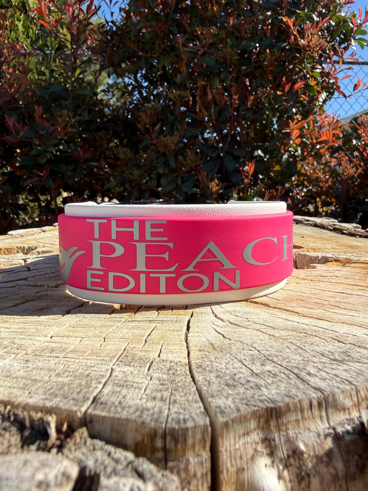 Peach Energy Inspired Collar | 1.5" Layered Biothane