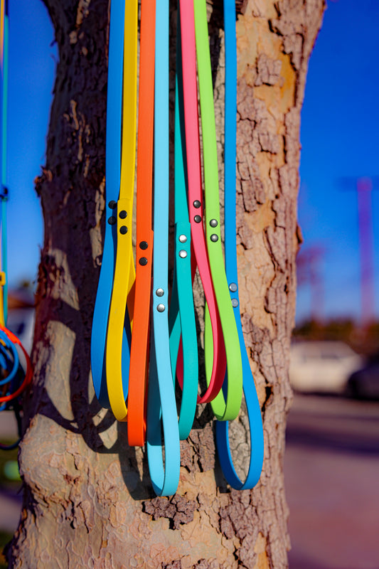 Biothane® Slip Leash – ½″ Width | Waterproof Training Lead for Dogs