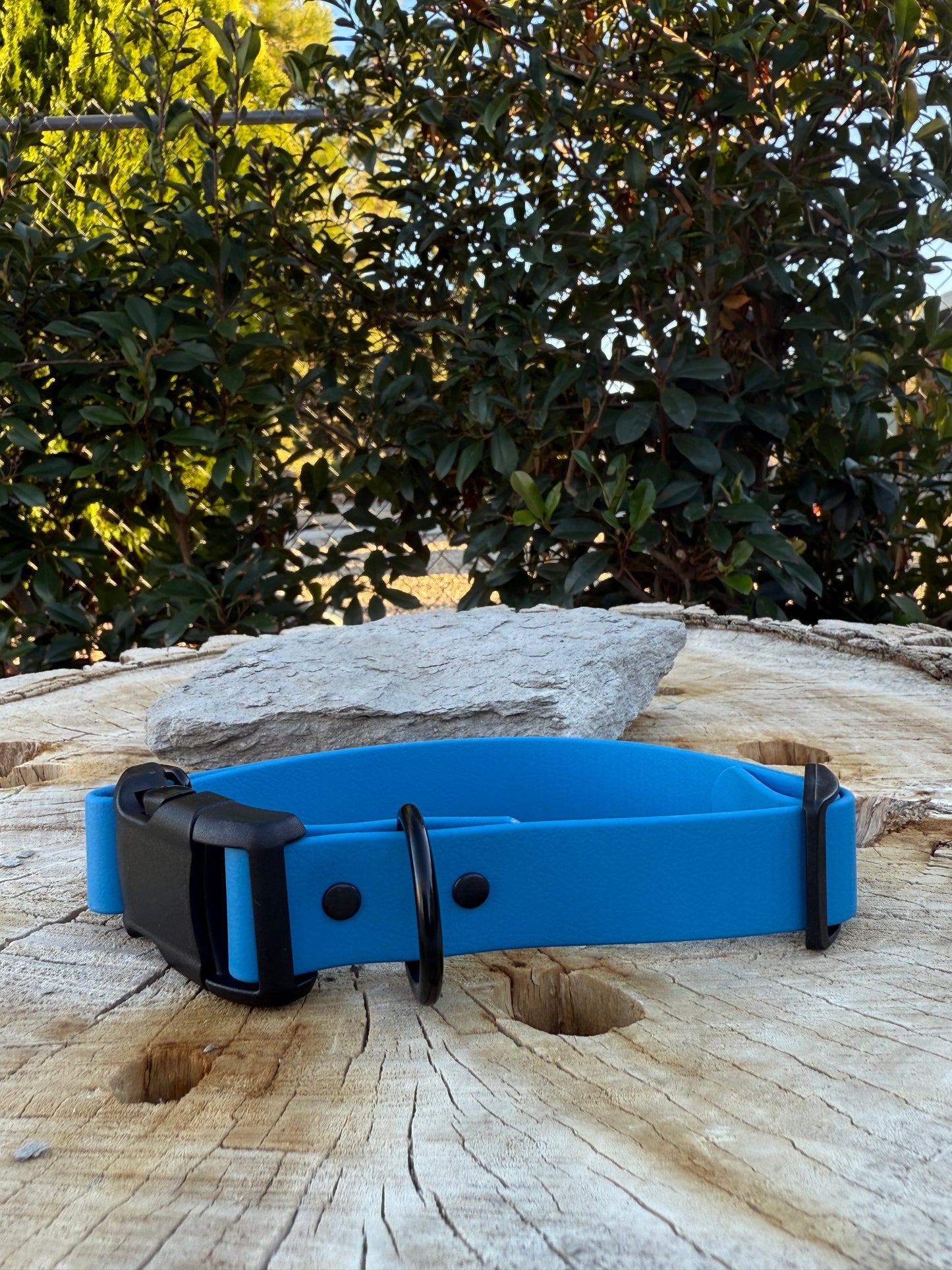 Adjustable Biothane® Collar