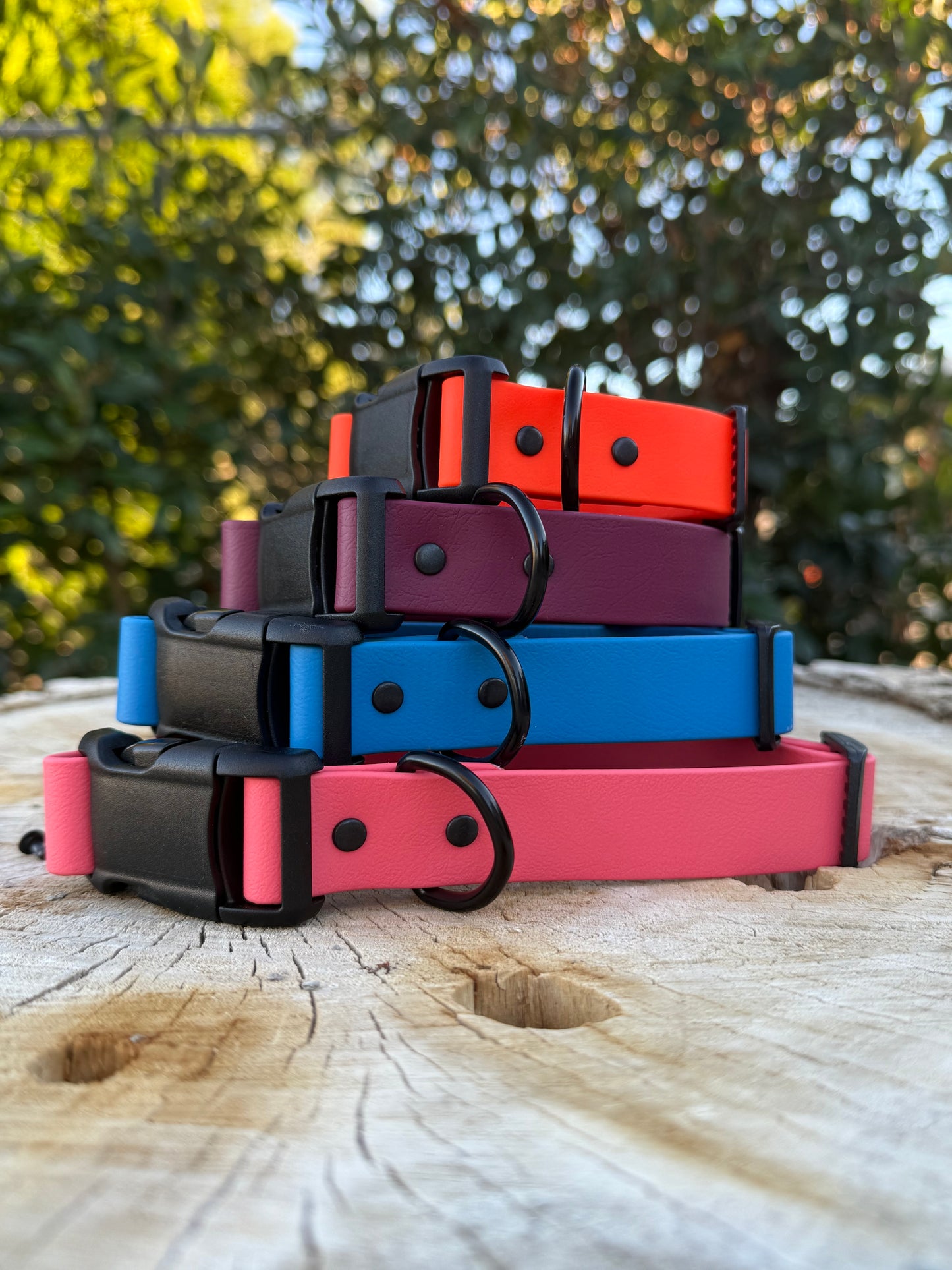 Adjustable Biothane® Collar