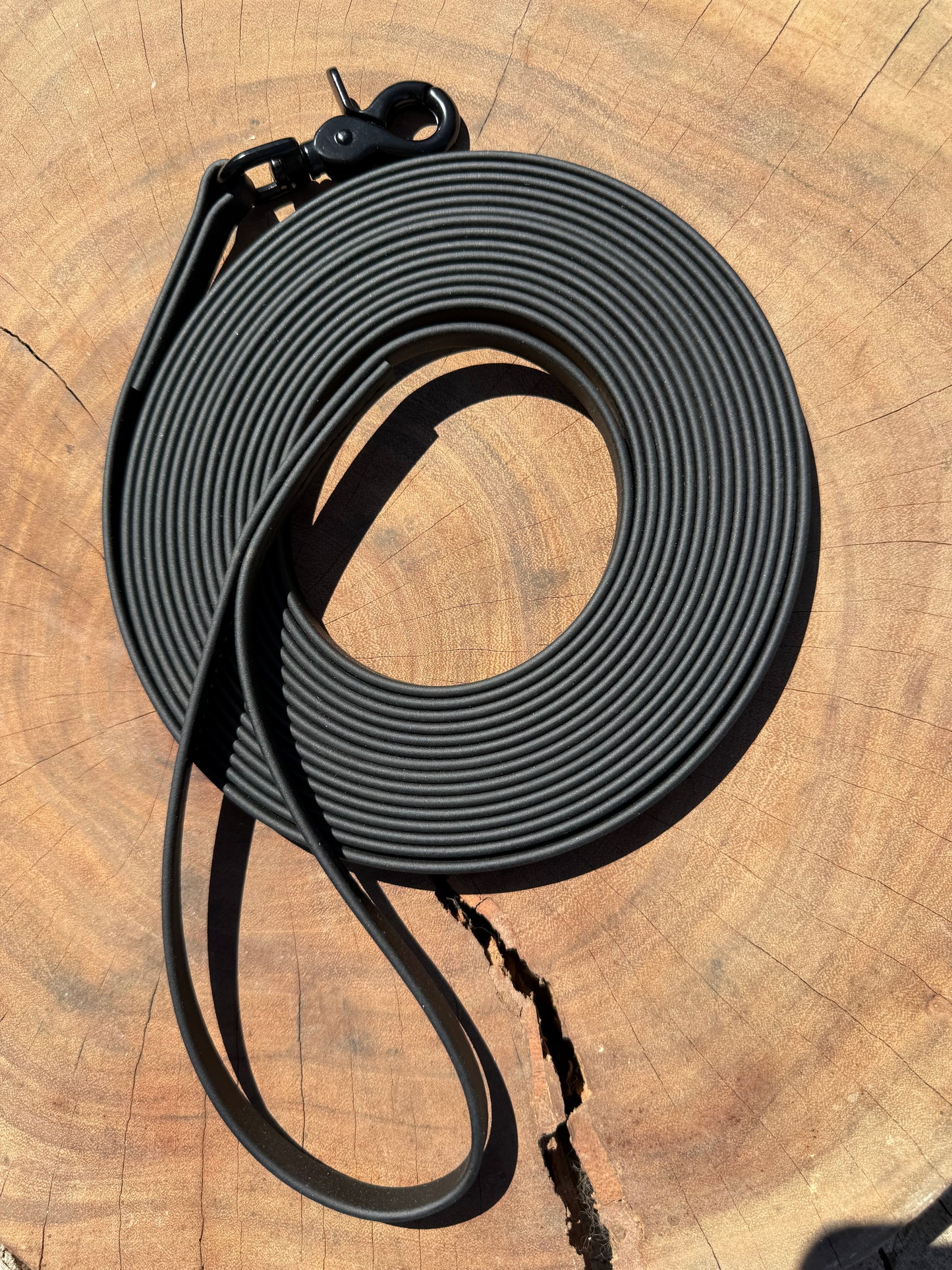 Waterproof Biothane® Long Line & Drag Line | 10–20 ft