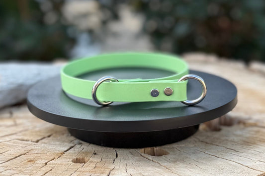 Biothane® Slip Collar | 1/2" & 5/8" Waterproof Training Collar