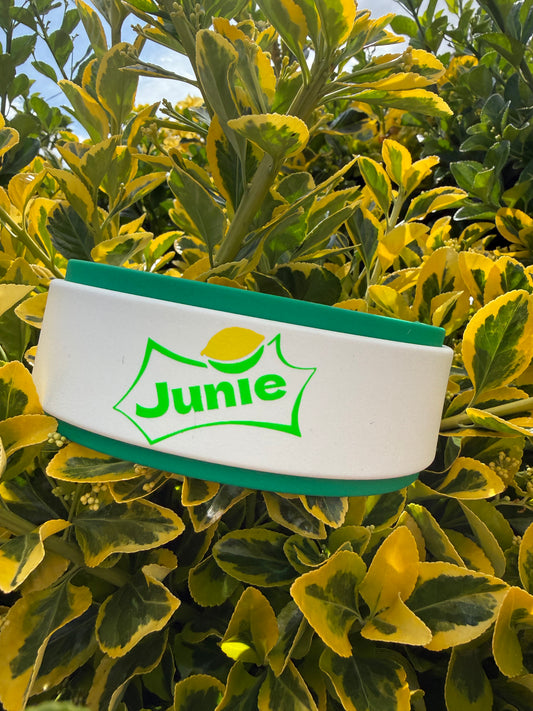 Lemon Lime Custom Biothane® Collar