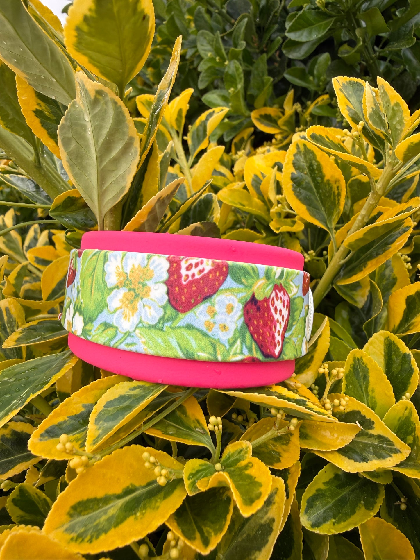 Strawberry Fields UV Printed Biothane® Collar
