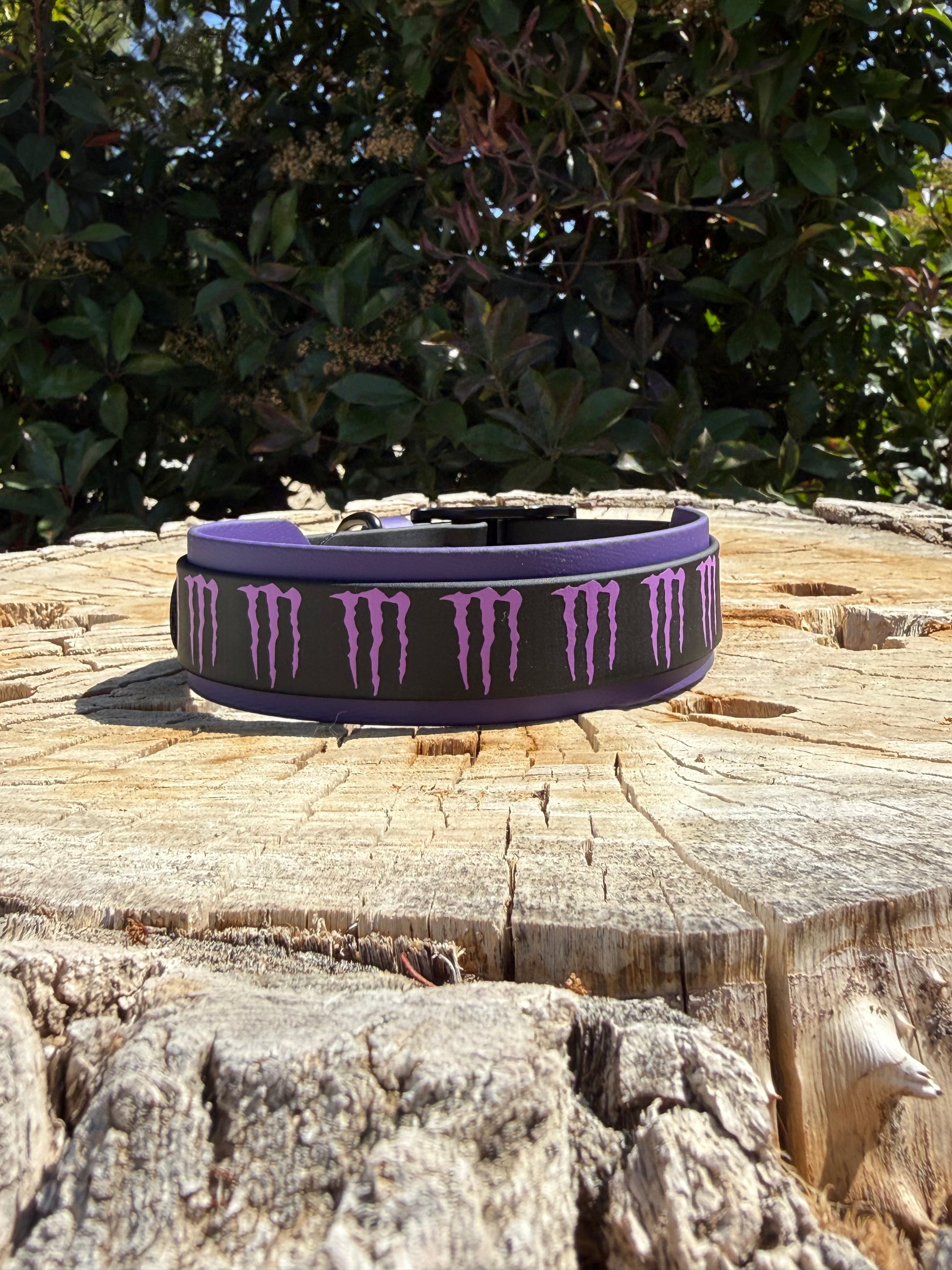 Monster Inspired 1”/1.5” Biothane® Dog Collar