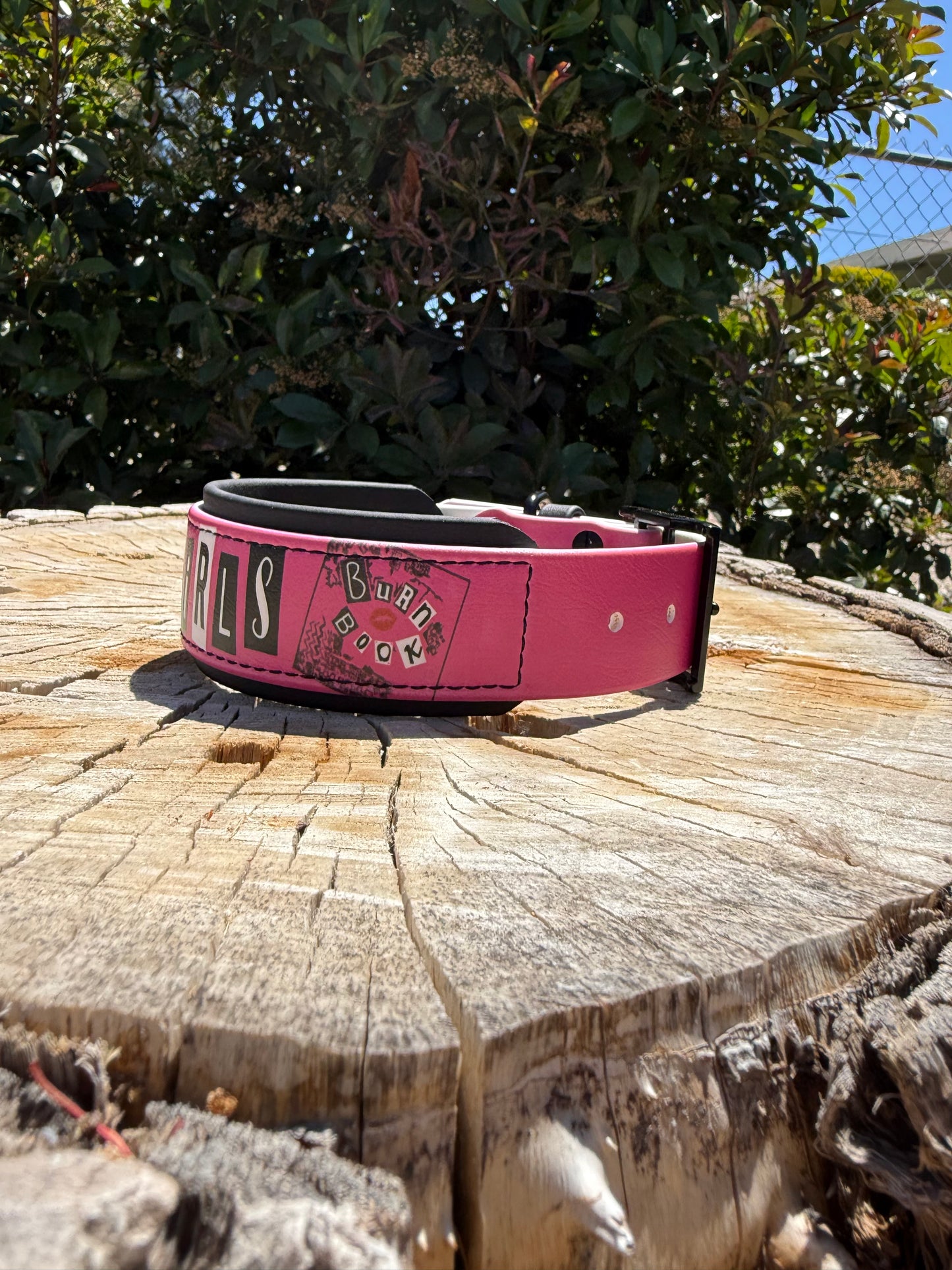 Mean Girls Inspired UV Printed Collar – 1.5"/2" Biothane®