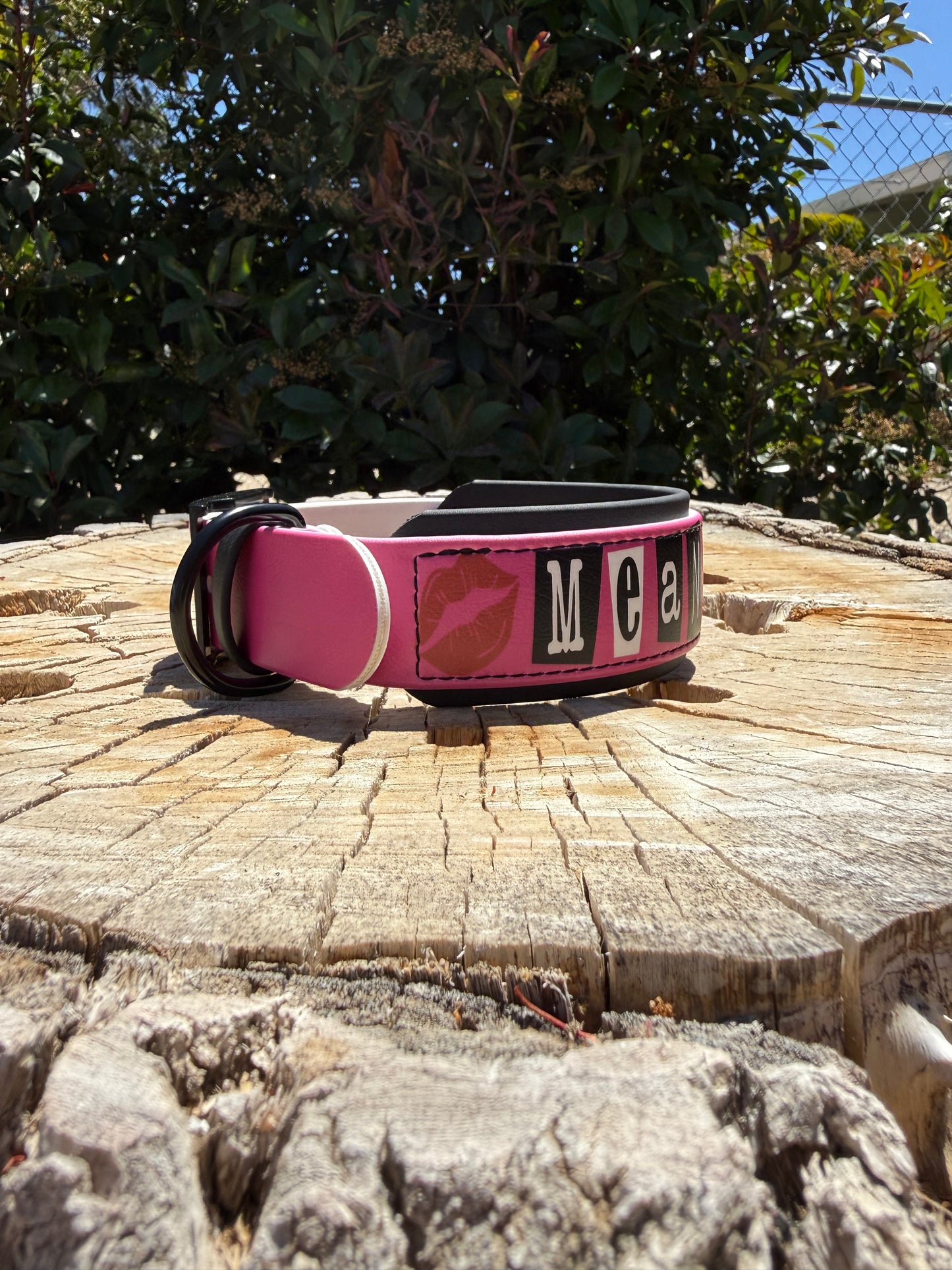 Mean Girls Inspired UV Printed Collar – 1.5"/2" Biothane®