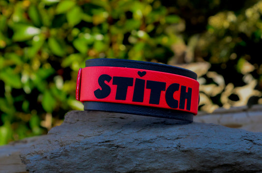 1.5" Layered Biothane® Custom Name Dog Collar | Waterproof