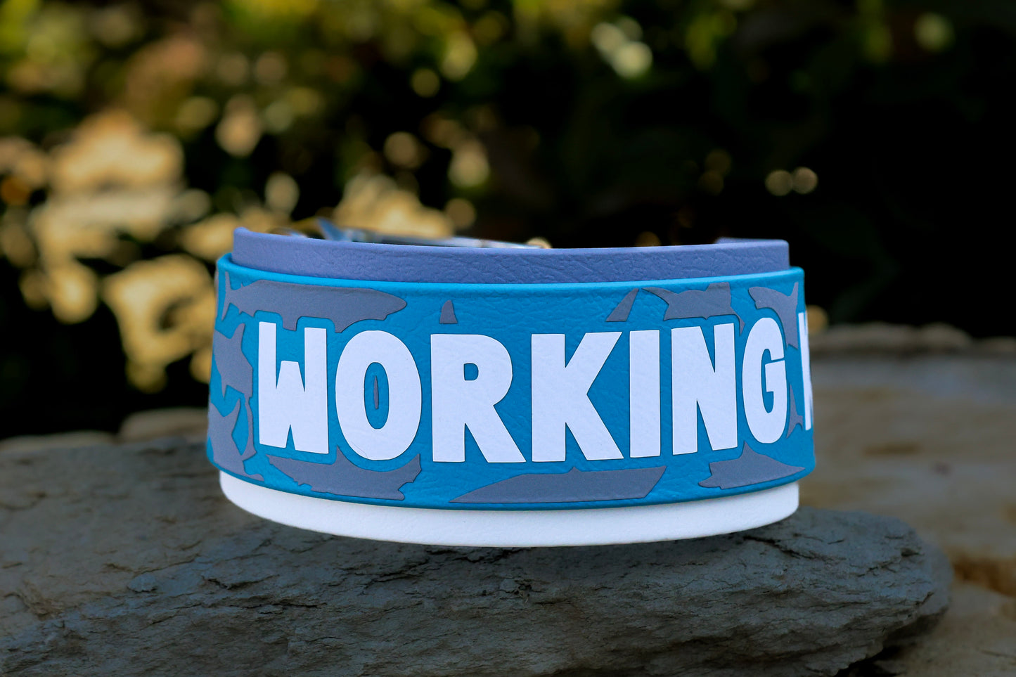 2" 3-Tone Biothane® Dog Collar | Custom Name Waterproof