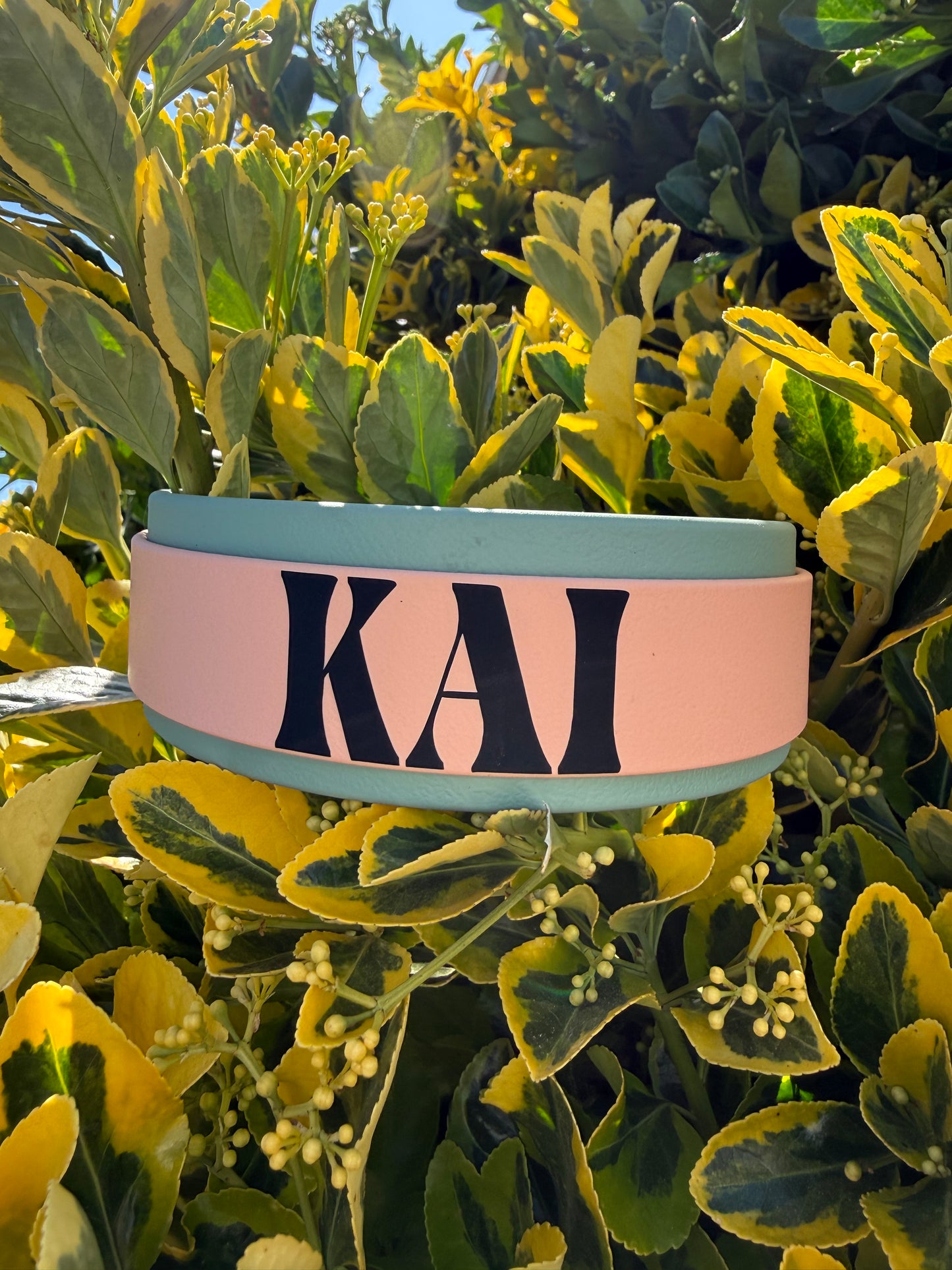 1.5" Layered Biothane® Custom Name Dog Collar | Waterproof