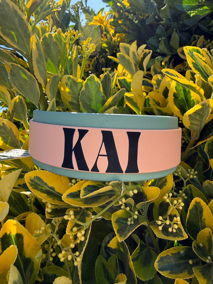 1.5" Layered Biothane® Custom Name Dog Collar | Waterproof