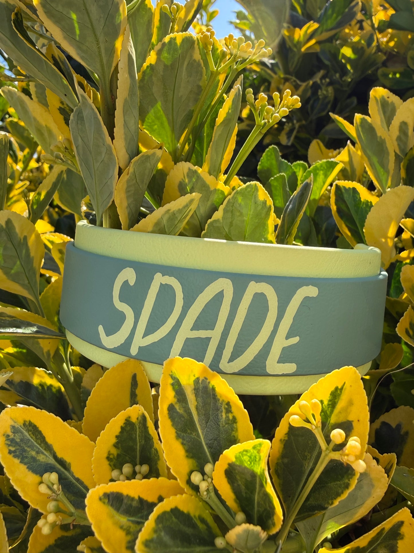 1.5" Layered Biothane® Custom Name Dog Collar | Waterproof