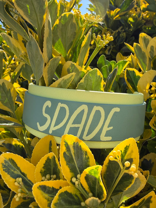 1.5" Layered Biothane® Custom Name Dog Collar | Waterproof