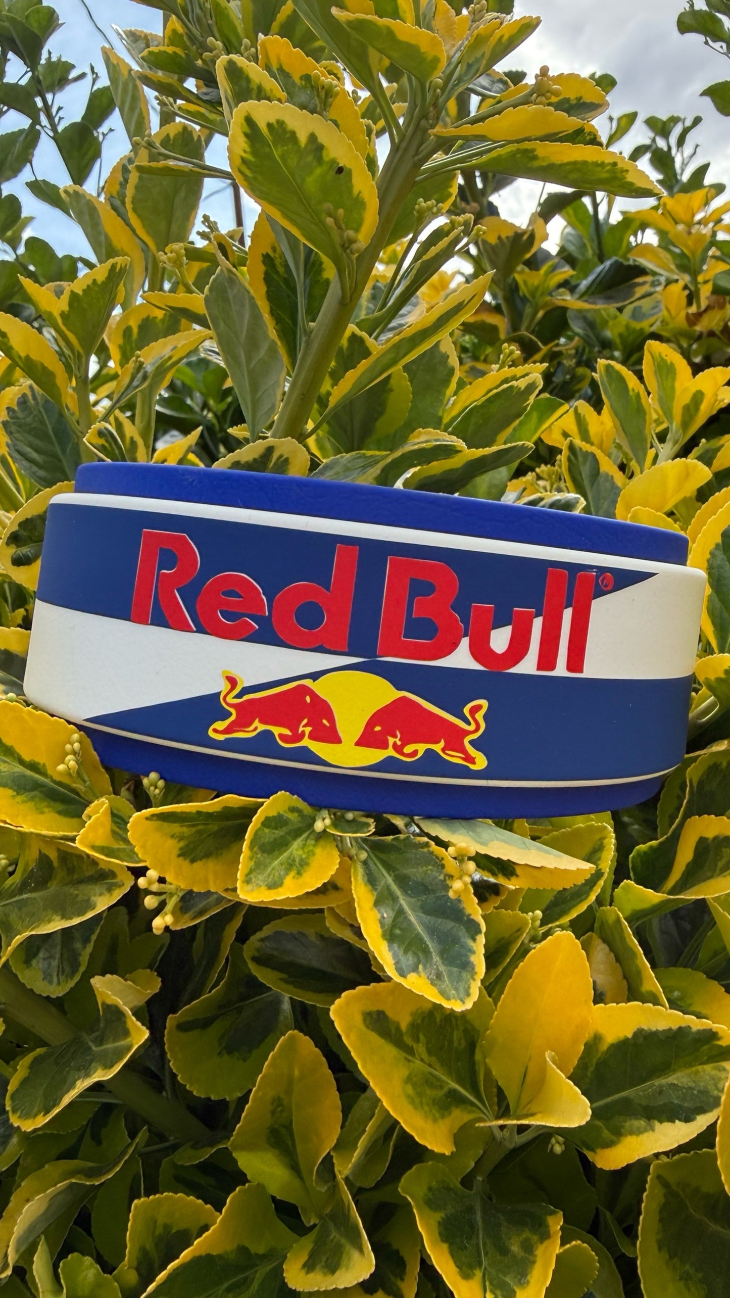 Energy Rush Inspired Collar | 1.5" Layered Biothane