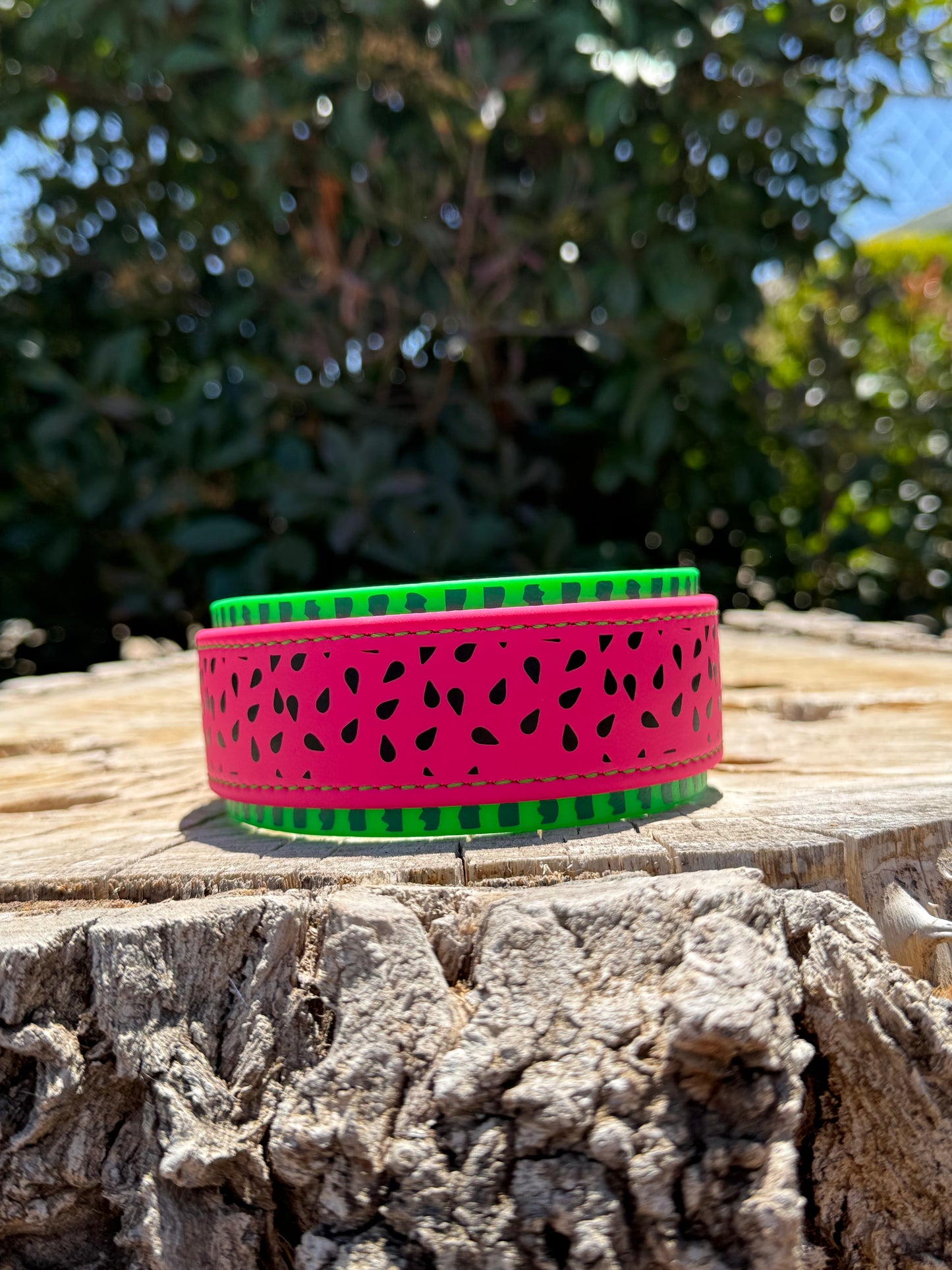 Summer Chaos Watermelon Collar – 1.5”/2” Wide
