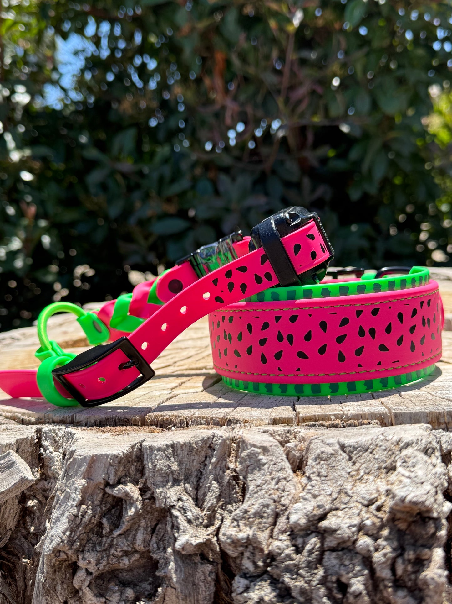 Biothane® E-Collar Strap