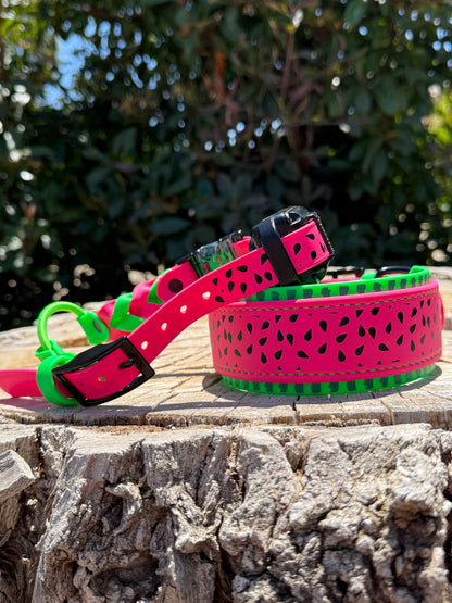 Biothane® E-Collar Strap