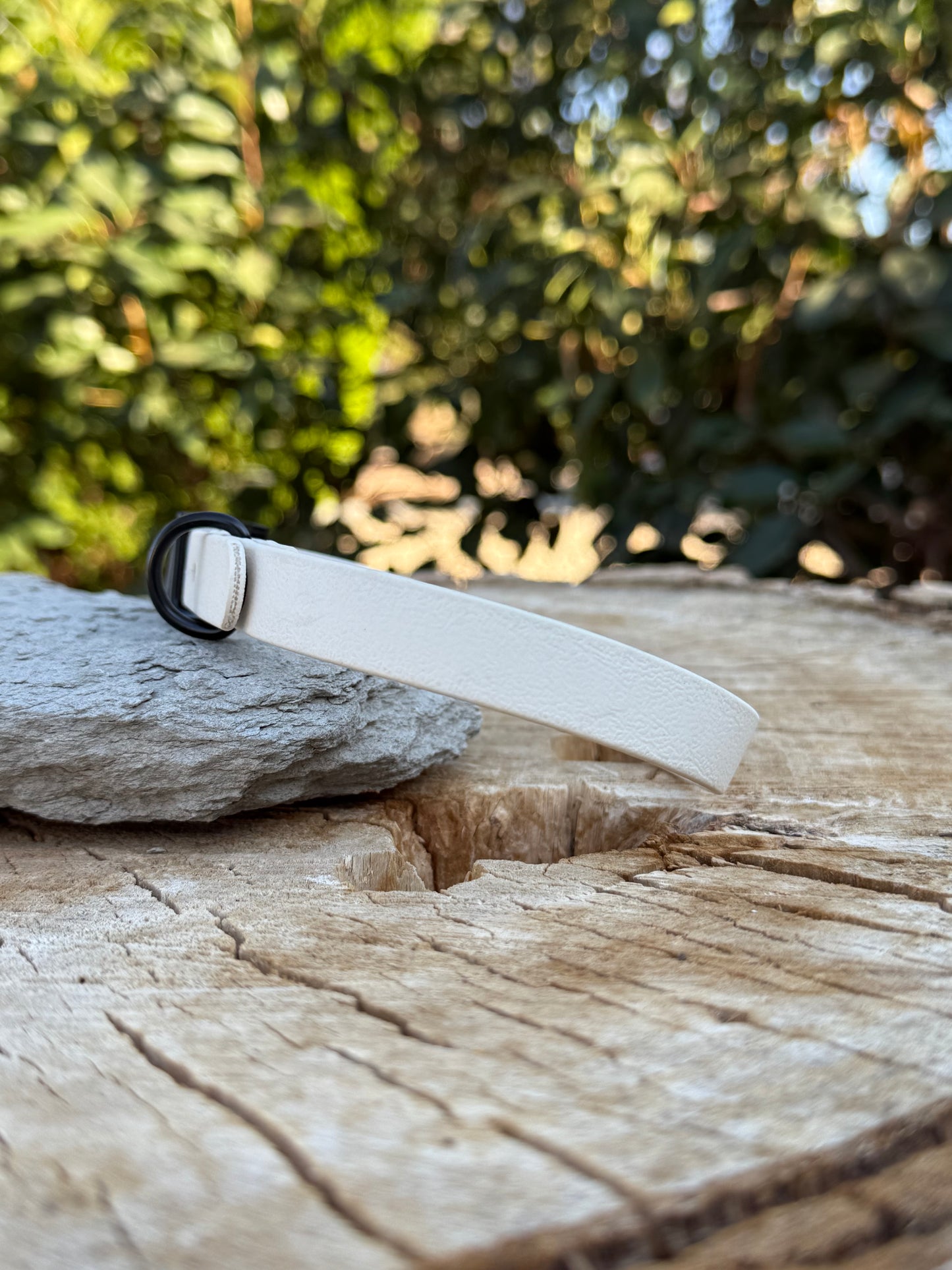 Basic Biothane® Collar