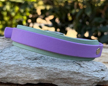 5/8" Over 1" Biothane® Collar – Lightweight, Waterproof & Customizable