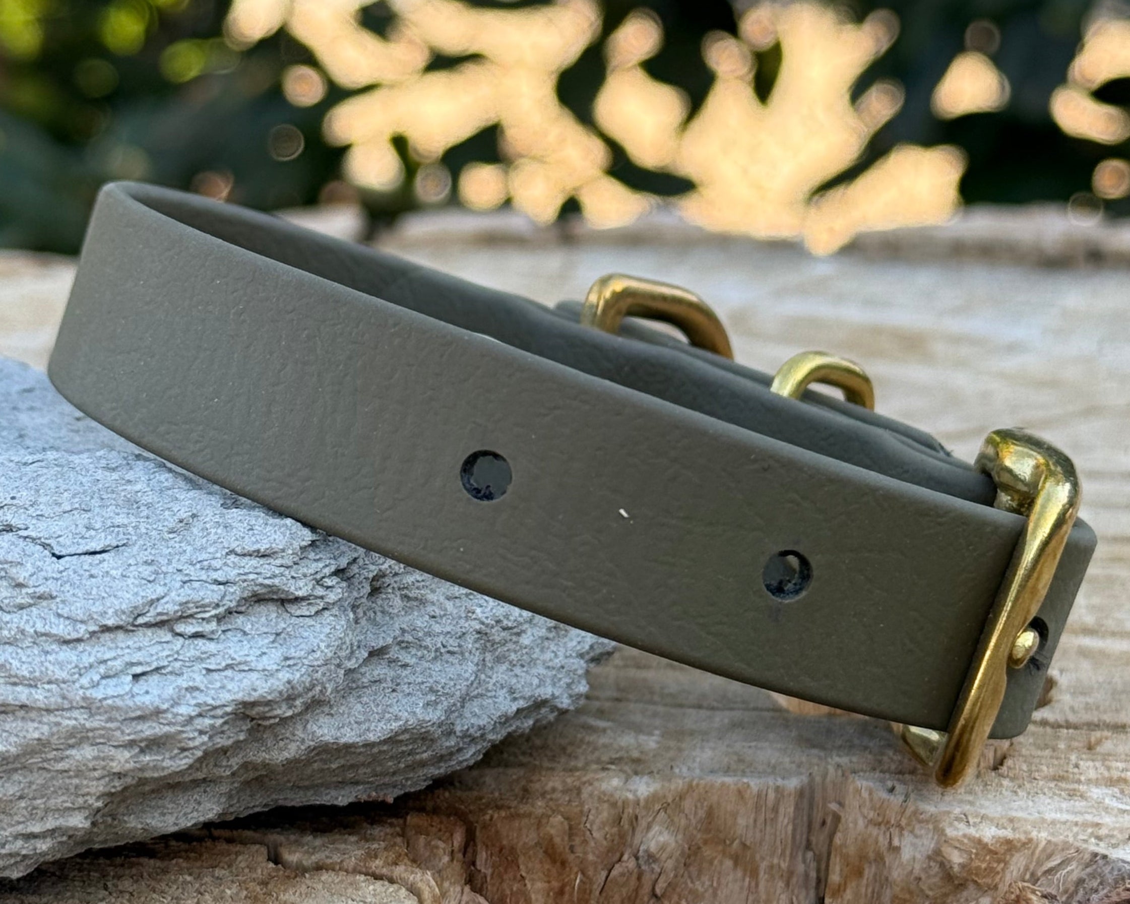 Cryogonal Collars Basic Biothane® Collar – Chaotic Gear