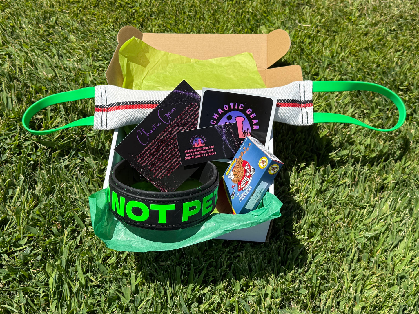 Panda Box Mystery Dog Gear Bundle