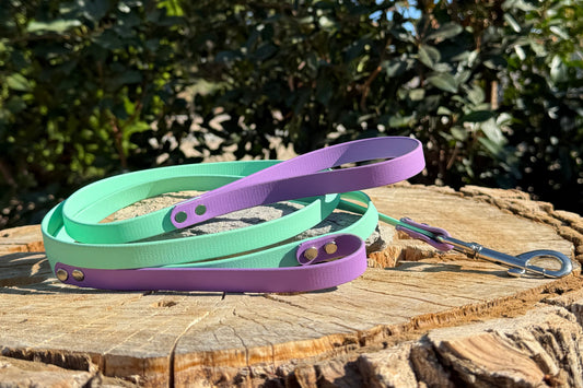 Two-Handle Biothane® Leash — 1/2" Width