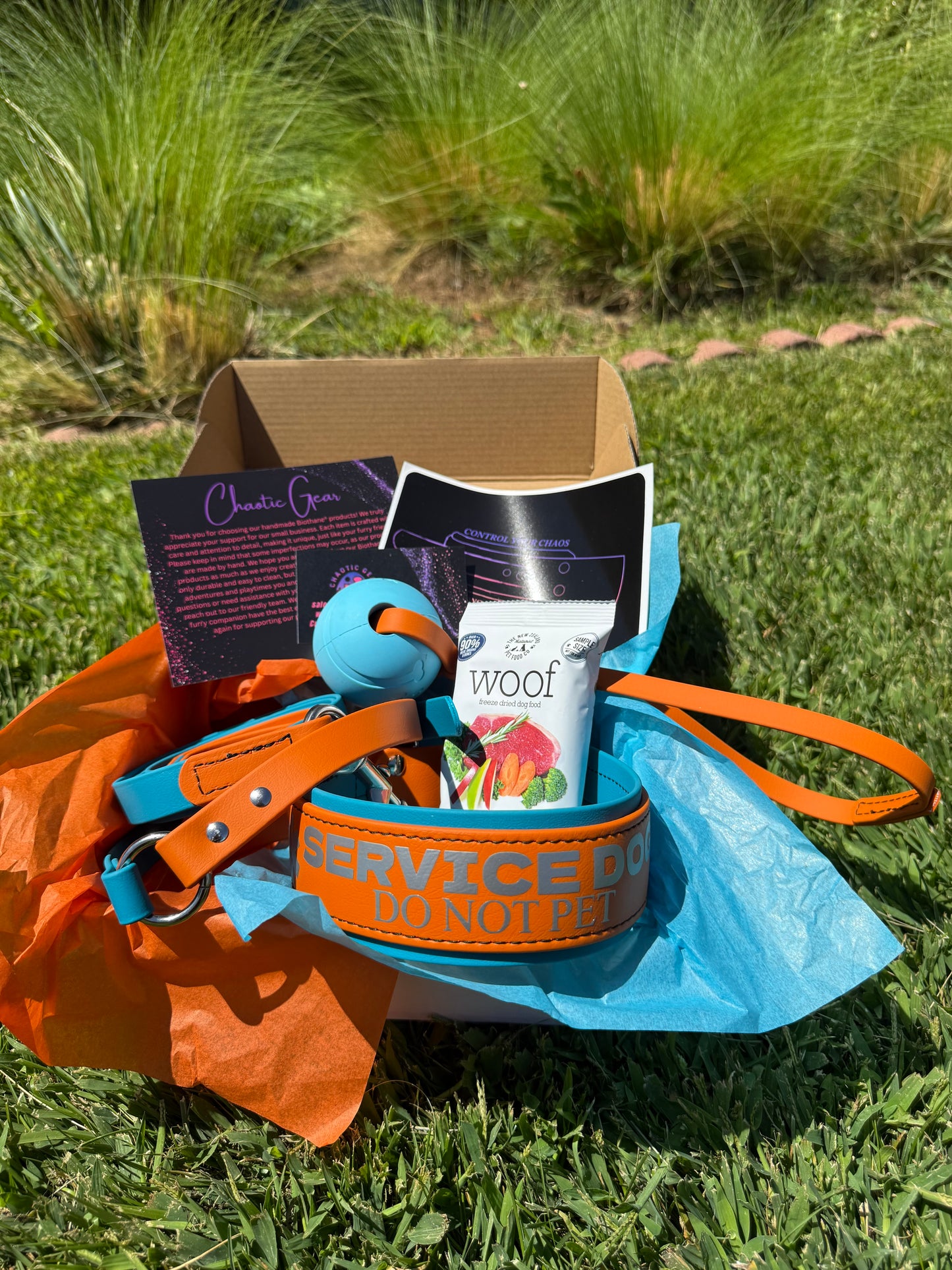 Panda Box Mystery Dog Gear Bundle
