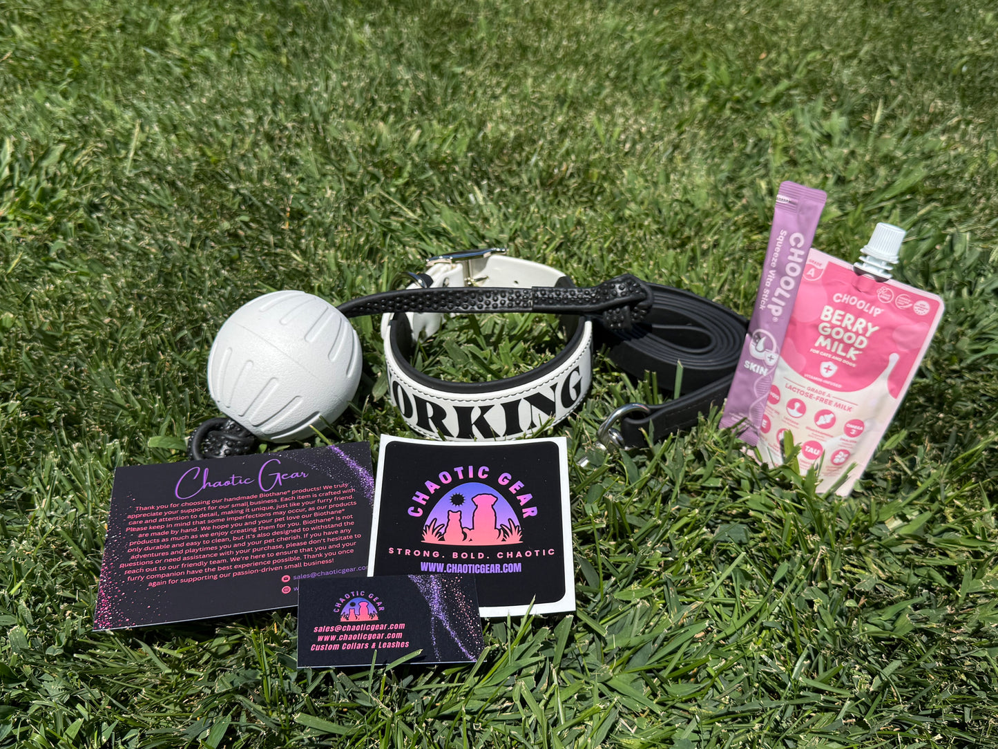Panda Box Mystery Dog Gear Bundle