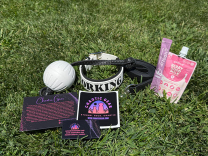 Panda Box Mystery Dog Gear Bundle