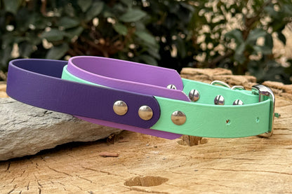 1.5" Layered Biothane® Handle Dog Collar | Custom Name