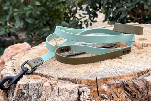 Two-Handle Biothane® Leash — 3/4" Width